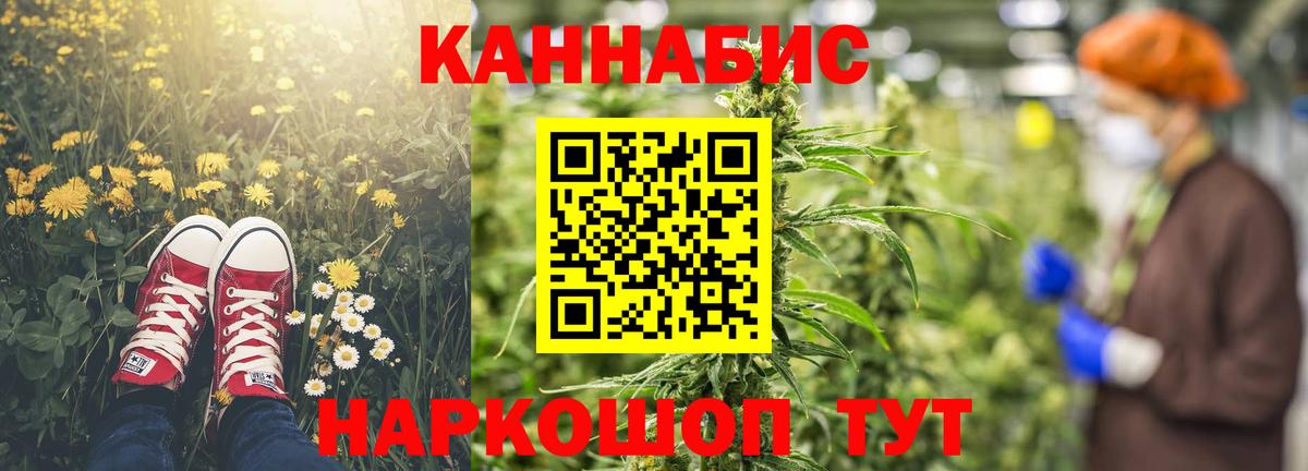Бошки марихуана конопля Кондопога